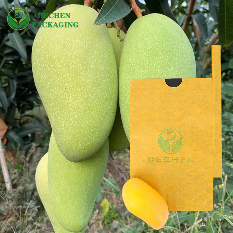 Mango Cover Grape Bag Protection Paper In Myanmar